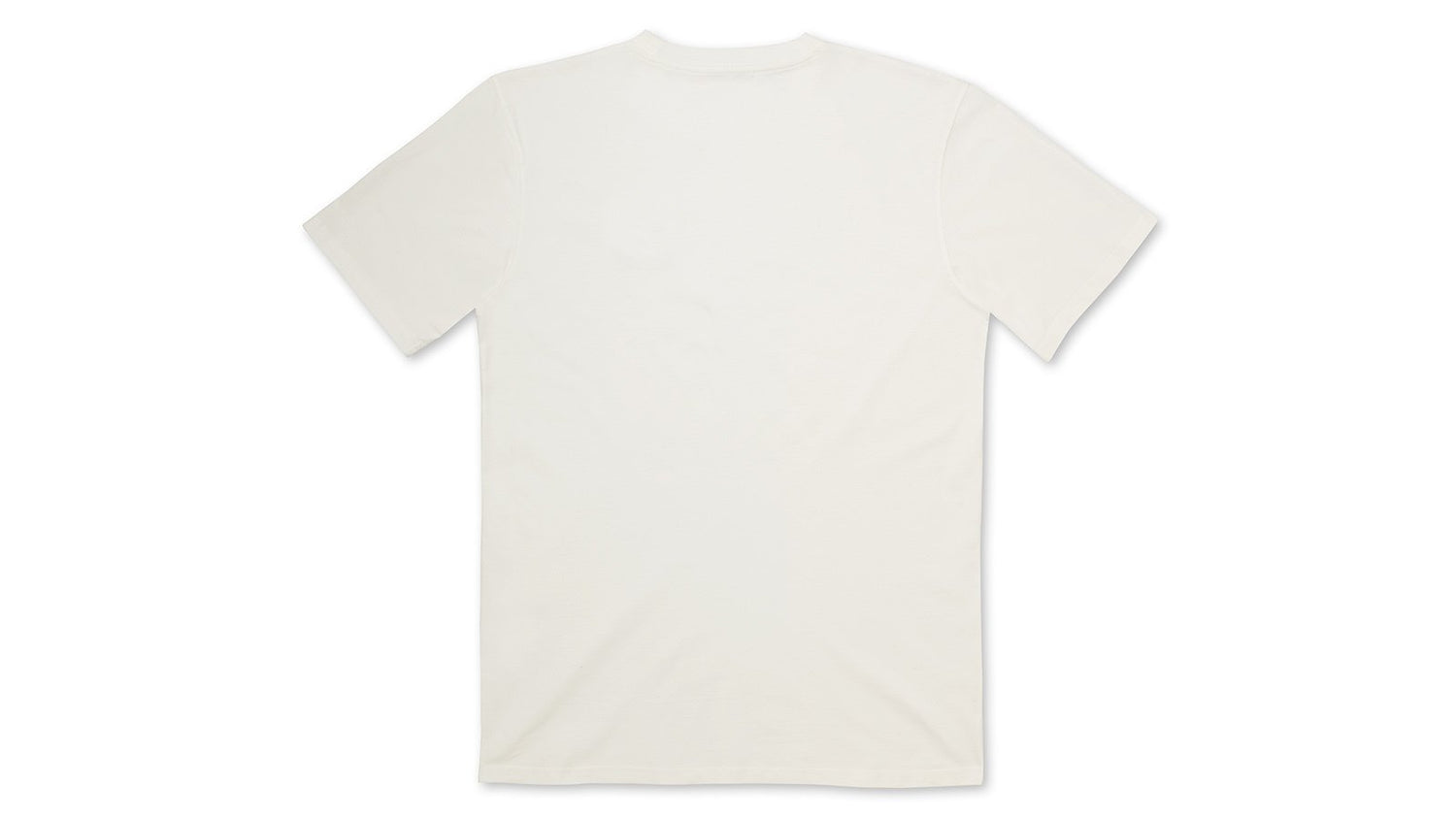Sport Bear Logo T-shirt Bright White / Iceberg Green